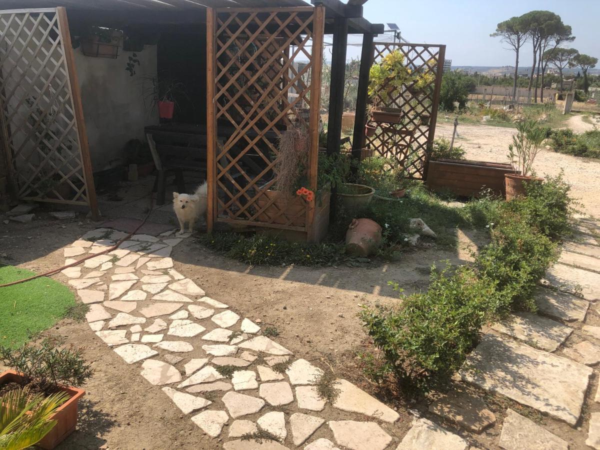 Villa Radiosa Gravina in Puglia Eksteriør billede